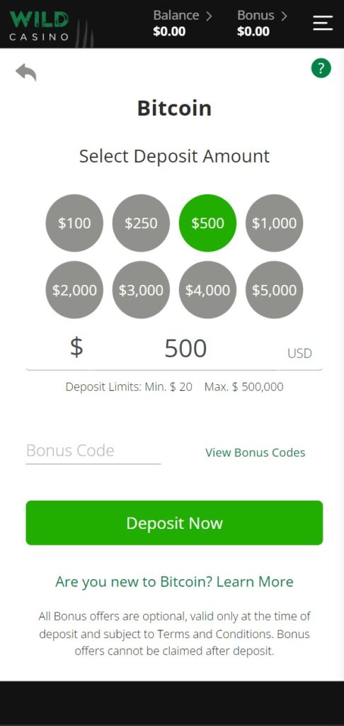 Wild Casino HowTo Step 3 Make Your First Deposit & Claim a Bonus