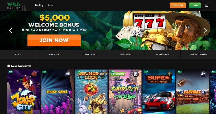 Wild Casino Welcome Bonus