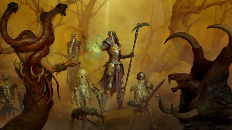 Necromancer Users in DIablo 4 Concerns